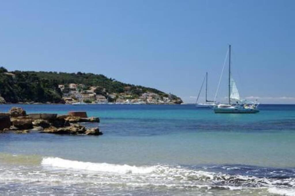 Appartement T2 Rez De Villa Proche Bord De Mer Le Pradet Eksteriør bilde